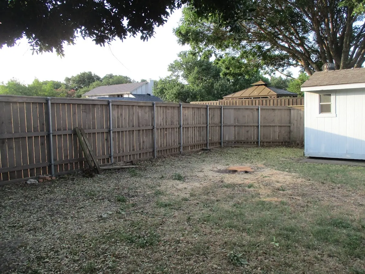 Cleared yard after professional tree removal in Hudson Falls