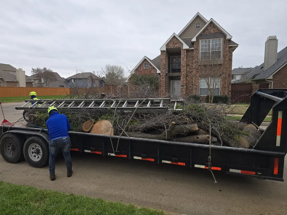 Expert Tree Pest Control with proper safety equipment in Hudson Falls